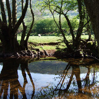 Fishing in llanthony